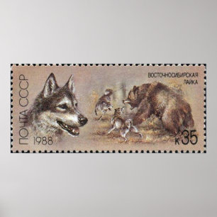 Póster Perro de caza del poster del sello del ~ de URSS