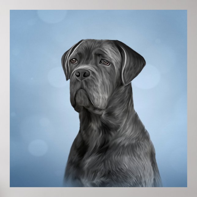 Póster Perro de dibujo Cane Corso - Mastiff italiano (Frente)