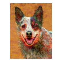 perro de ganado australiano