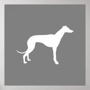 Póster Perro de Greyhound