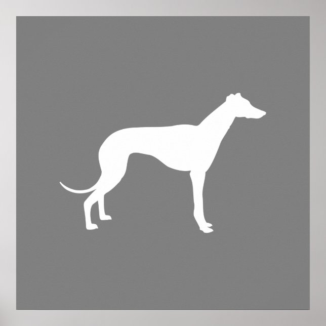Póster Perro de Greyhound (Frente)