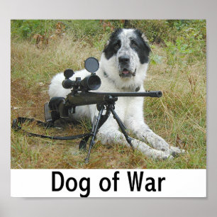 Póster Perro de guerra 2