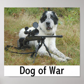Póster Perro de guerra 2