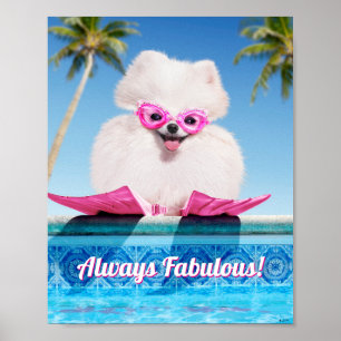 Póster Perro De La Piscina En Los Flippers
