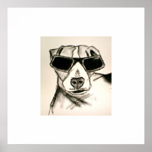 Póster Perro de la roca