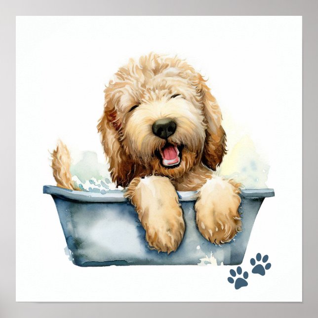 Póster Perro de Labradoodle (Frente)
