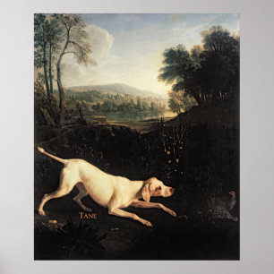 Póster Perro de Louis XIV, Tane