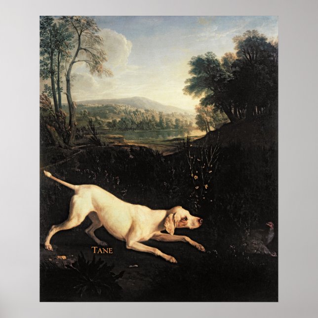 Póster Perro de Luis XIV, Tane (Frente)