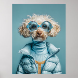 Póster Perro de Moda con Ropa Azul
