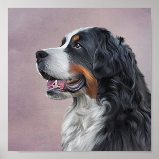 Póster Perro de montaña de Bernese