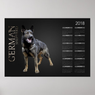 Póster Perro de pastor alemán de trabajo - calendario