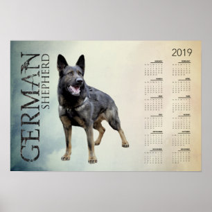 Póster Perro de pastor alemán de trabajo - calendario
