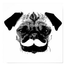 Perro de pug con bigote negro y blanco