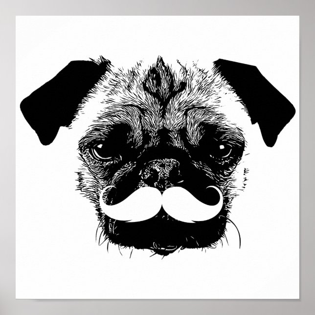 Póster Perro de pug con bigote negro y blanco (Frente)