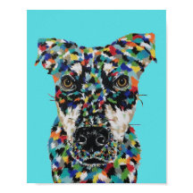 Perro de raza mixta