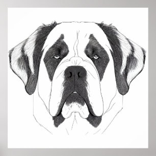 Póster Perro de San Bernardo Naturaleza salvaje Ilustraci