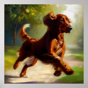 Póster Perro de Setter Irlandés
