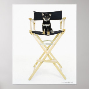 Póster Perro de Shiba Inu en la silla del director