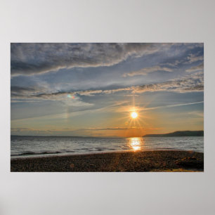 Póster Perro de Sun