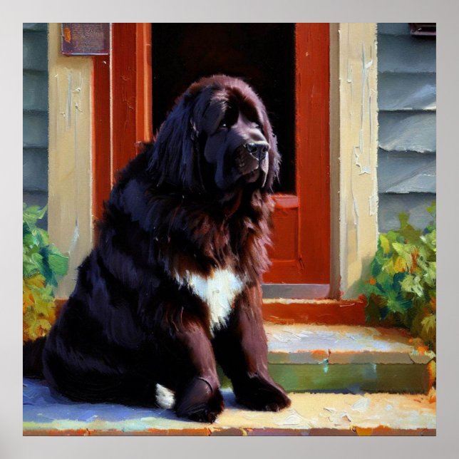 Póster Perro de Terranova (Frente)