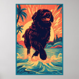 Póster Perro de Terranova en la playa