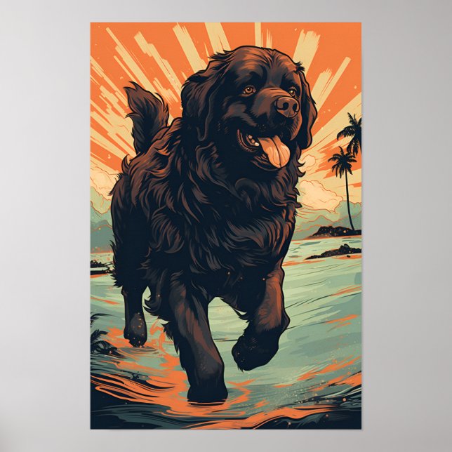 Póster Perro de Terranova en la playa (Frente)