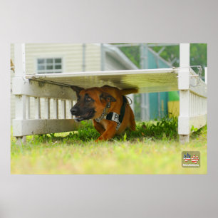 PÓSTER PERRO DE TRABAJO MILITAR DE EE. UU.