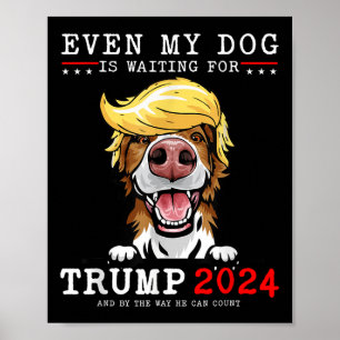 Póster Perro del Collie Fronterizo, Incluso Mi Perro Está