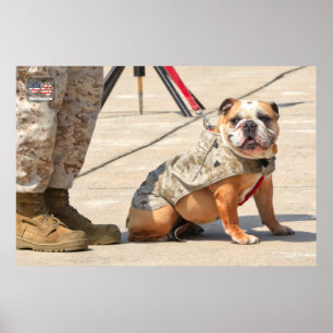 PÓSTER PERRO DEL SERVICIO MILITAR DE EE. UU.