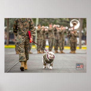 PÓSTER PERRO DEL SERVICIO MILITAR DE EE. UU.