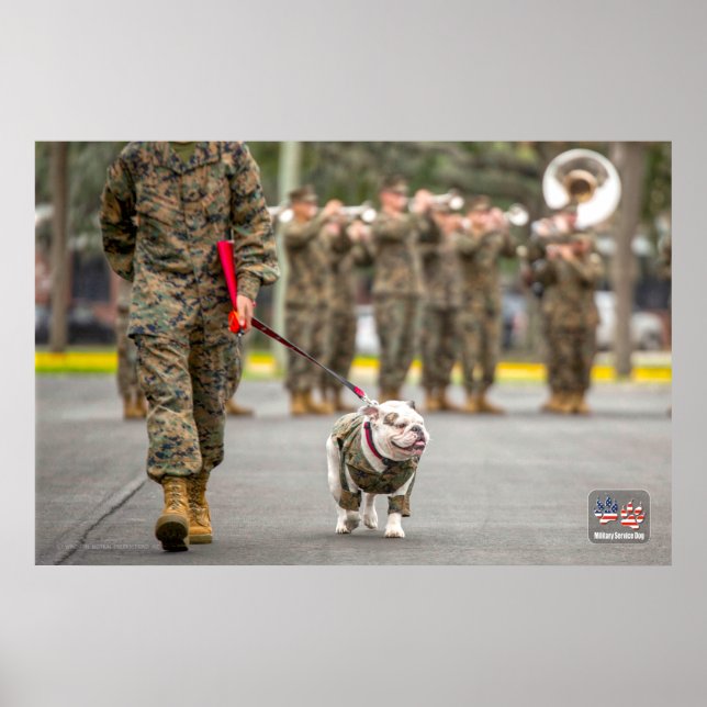 PÓSTER PERRO DEL SERVICIO MILITAR DE EE. UU. (Frente)