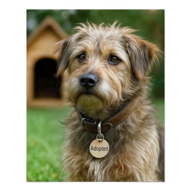Póster Perro Desgreñado Adoptado Con Casa Para Perros (Anverso)