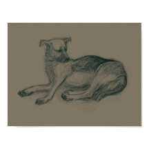 Perro. Dibujo a lápiz.