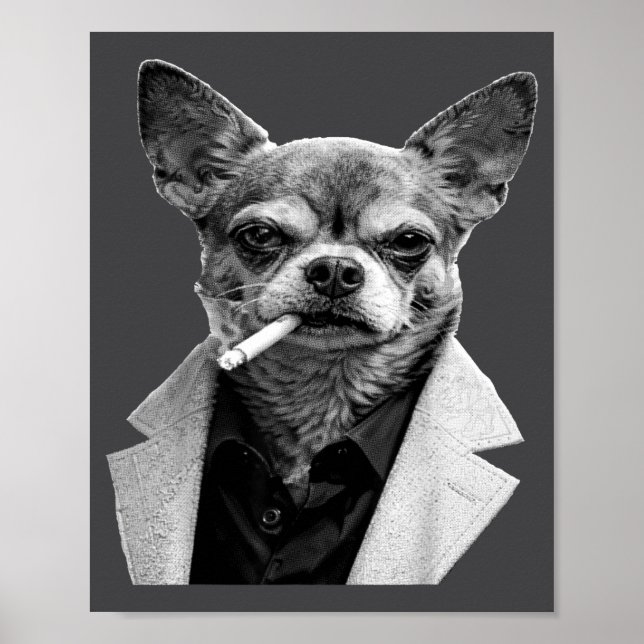 Póster Perro Divertido Fumando Cigarrillo Chihuahua Meme  (Frente)