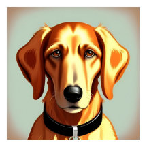 Perro Dorado Con Collar Que Muestra Placa De Ident