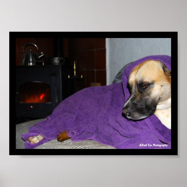 Póster Perro dormido junto a la chimenea (Frente)