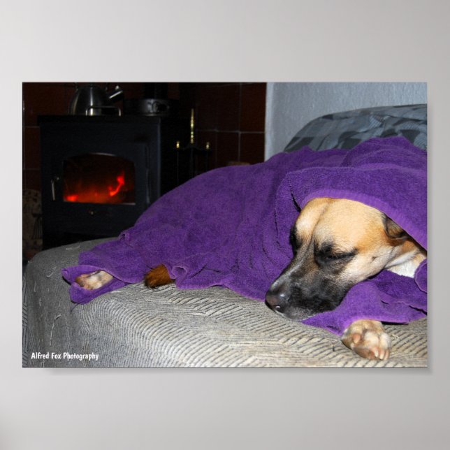 Póster Perro durmiendo junto a la chimenea (Frente)