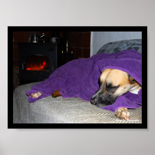 Póster Perro durmiendo junto a la chimenea (Frente)