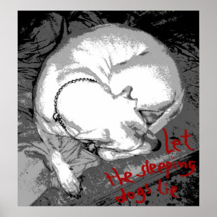 Póster Perro durmiente (poster)