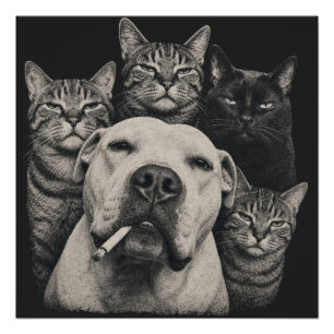 Póster Perro duro vintage con cigarrillo y gatos gruñones