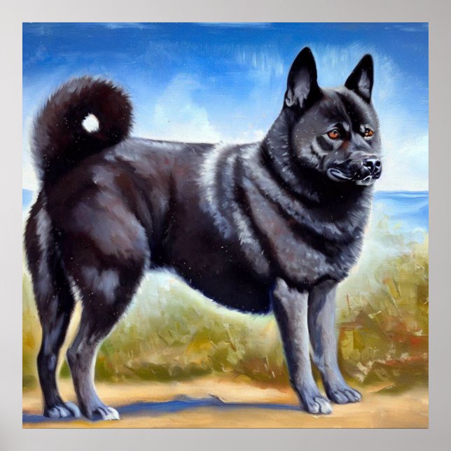 Póster Perro elkhound noruego negro (Frente)