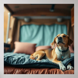 Póster Perro en cama
