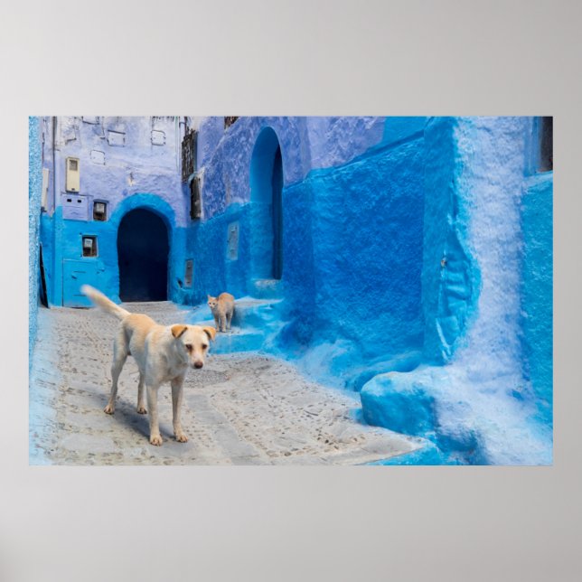 Póster Perro en la ciudad azul (Frente)
