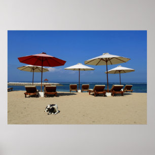 Póster Perro en la playa