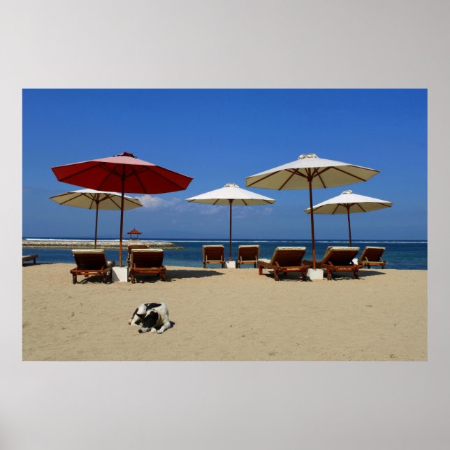 Póster Perro en la playa (Frente)