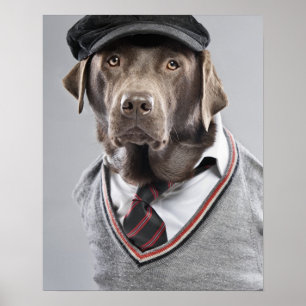 Póster Perro en suéter y gorra