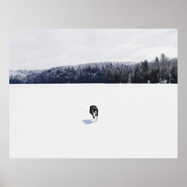 PÓSTER PERRO EN UNA LLAMADA DE NIEVE (Frente)