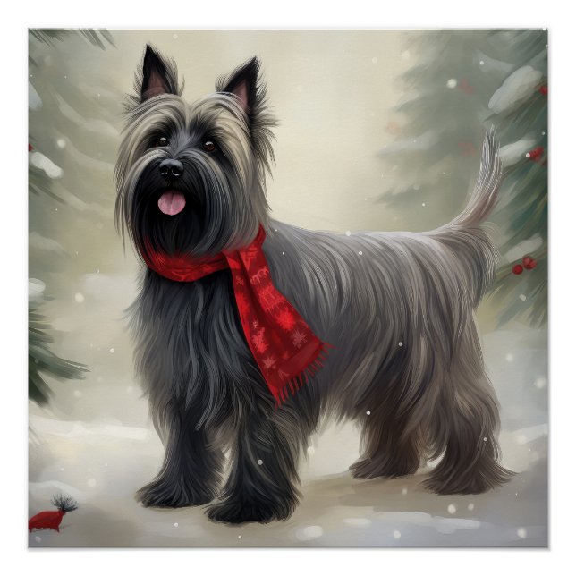 Póster Perro espumoso en Navidades de nieve (Anverso)
