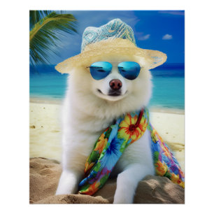 Póster Perro esquimal americano en la playa, regalo de ve