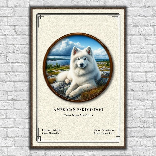 Póster Perro Esquimal Americano Serie de Zoología (Subido por el creador)
